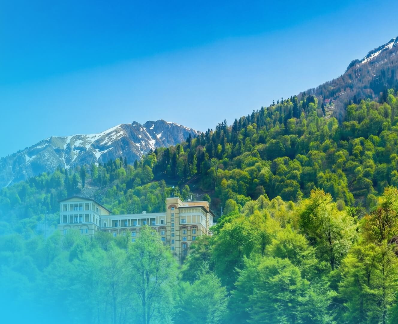 Картинка - Сочи